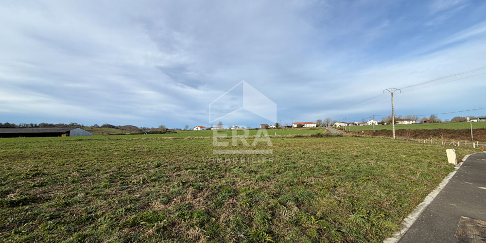 terrain à ST PALAIS (64120)